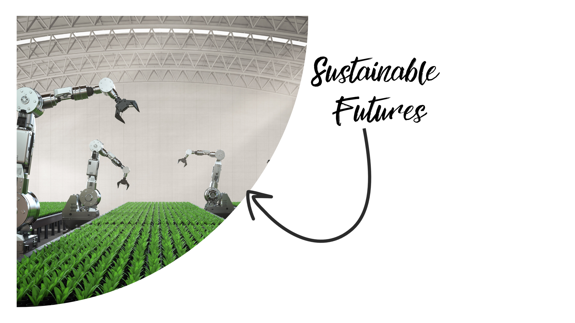 Image hover effect image